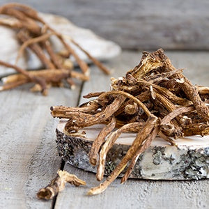 A pile of dandelion root. This root long speculated to have antioxidant activity and hepatoprotective properties.