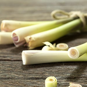 One of the many Lemongrass benefits is that it's a source of beneficial phytochemicals and it also helps boost the immune system.