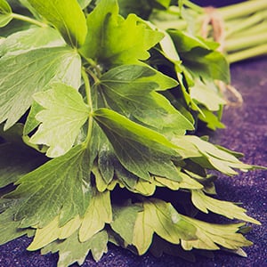 Lovage helps support healthy skin and help fight harmful organism.