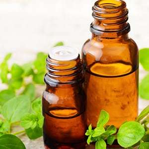 A bottle of supplement. Sibo is a condition that causes harmful bacteria to grow in the small intestine.