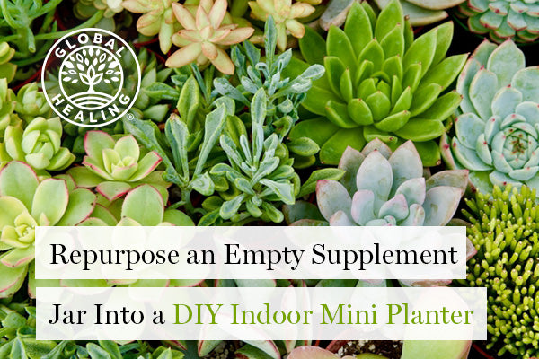 How to Repurpose an Empty Supplement Jar into a DIY Indoor Mini Planter