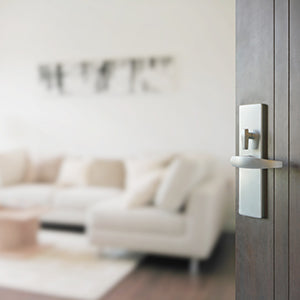 The Dangers of Mold and Mildew in your Home or Office